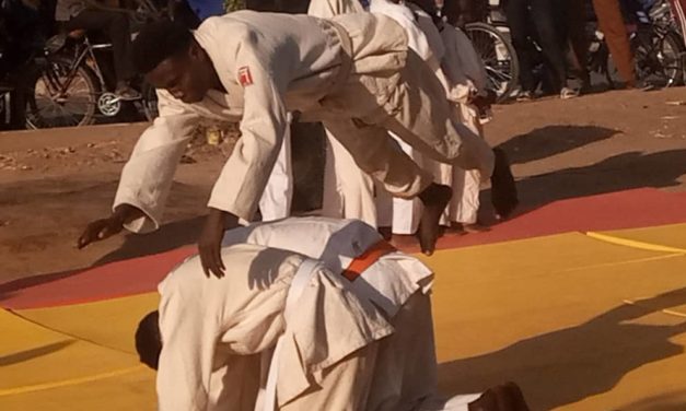 La ligue de Judo de N’Djamena expose les techniques de Judo au public
