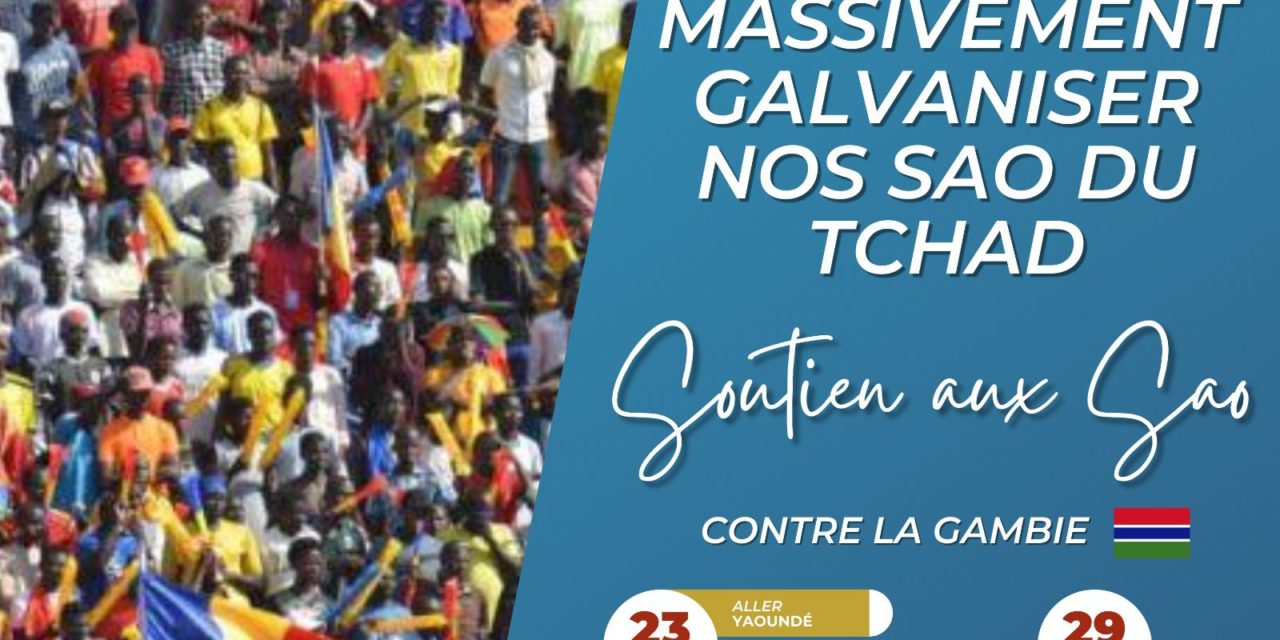 Tchad/Gambie : AJDFT et ASENT SAO appellent à une mobilisation générale