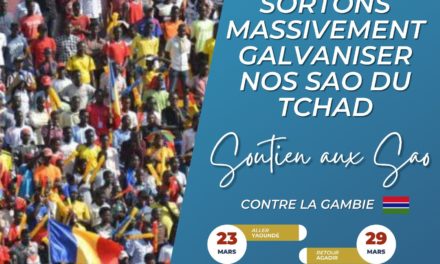 Tchad/Gambie : AJDFT et ASENT SAO appellent à une mobilisation générale