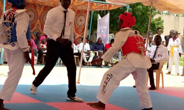Taekwondo : 2e édition de compétition Baby Challenge