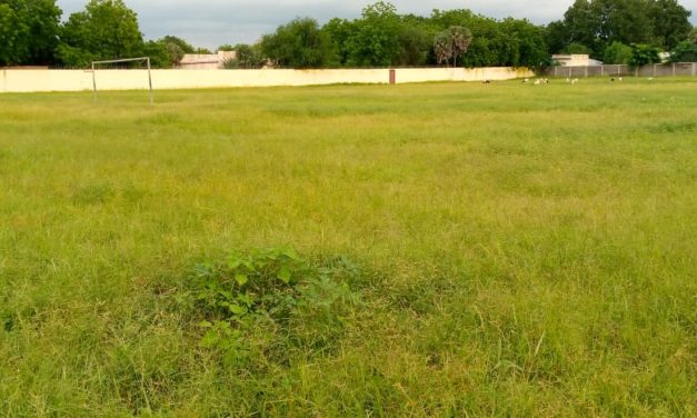 Le terrain de l&rsquo;INJS: un champ à défricher