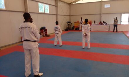 Les ligues de Taekwondo du Tchad en passage de grade