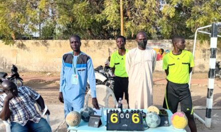 Sport : la non-visibilité de certaines disciplines sportives au Tchad : cas de handball.