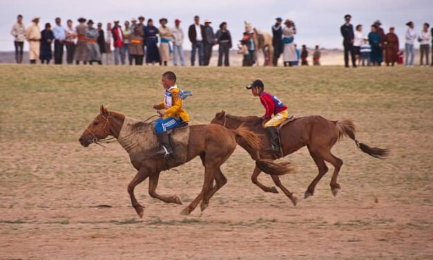 Sport : que devient la course hippique au Tchad ?