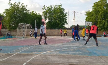 Handball / Coupe de la ligue : Expérience Homme déclarée forfait !