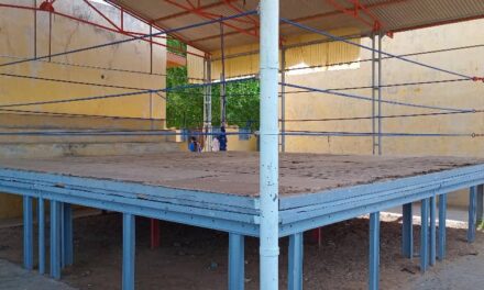 Boxe : les rings en jachère !