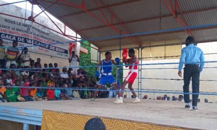 Boxe : vacances de boxe, une initiative de la Ligue.