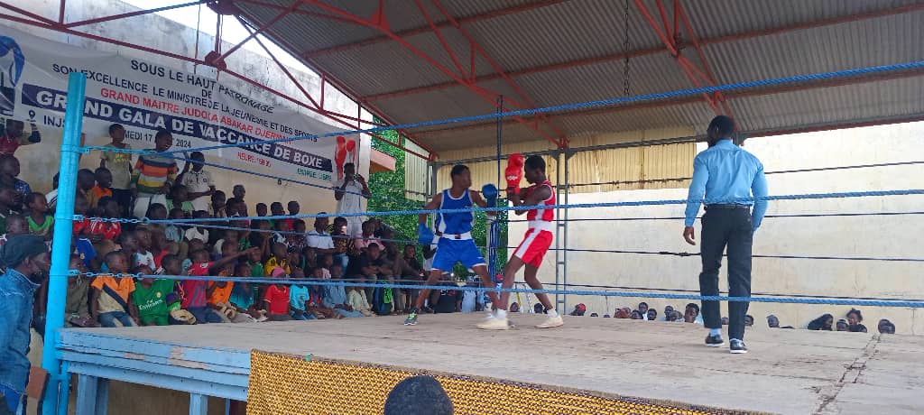 Boxe : vacances de boxe, une initiative de la Ligue.