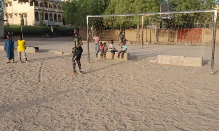 Football : l’occupation anarchique des terrains de football dans les 10 arrondissements de la capitale : un obstacle au développement du football.