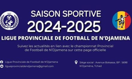 Football : le schéma de la Saison sportive 2024-2025 est connu.