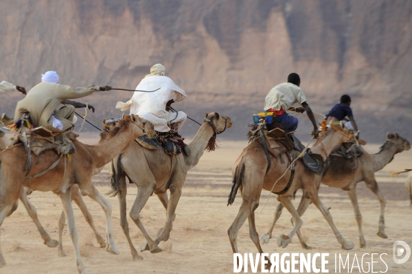 La course de dromadaire au Tchad : un trésor méconnu à préserver et à promouvoir