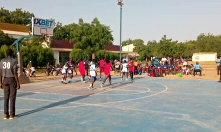 Basketball / féminin : les Amazones poursuivent leur campagne de domination.