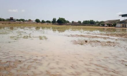 Sport : Le stade communal d’Abena, un patrimoine sportif en déclin à N’Djamena.