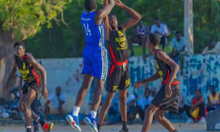 Basketball championnat de Ndjamena : les warriors ont tenu en échec Harlem city.