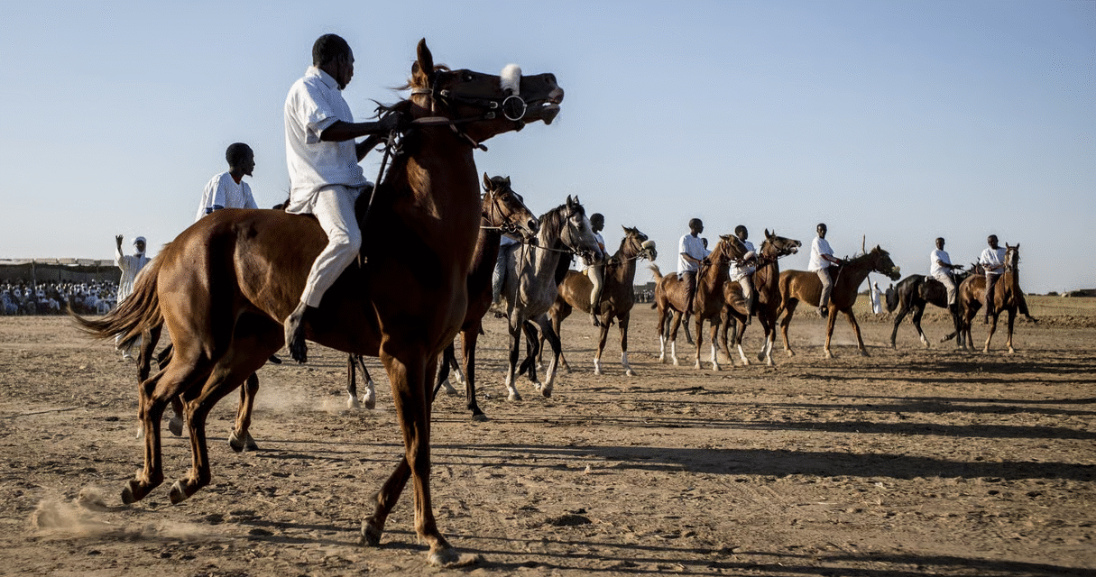 Course hippique au Tchad : une tradition centenaire, une discipline en quête d&rsquo;avenir