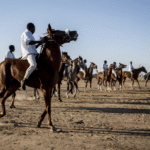 Course hippique au Tchad : une tradition centenaire, une discipline en quête d&rsquo;avenir