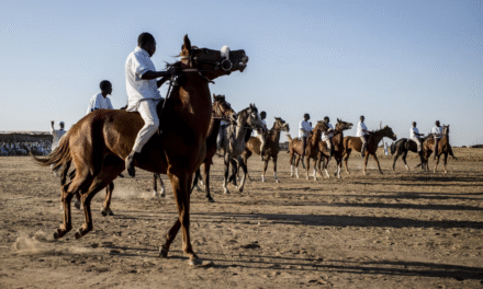 Course hippique au Tchad : une tradition centenaire, une discipline en quête d&rsquo;avenir