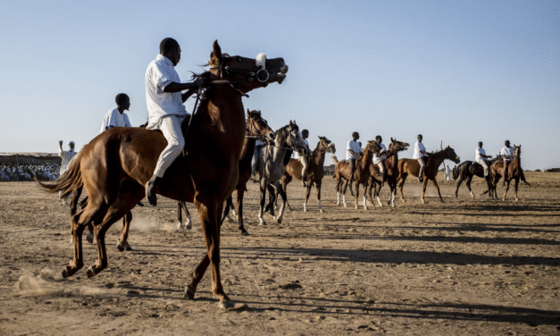 Course hippique au Tchad : une tradition centenaire, une discipline en quête d&rsquo;avenir